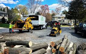 Best Fruit Tree Pruning  in Central Gardens, TX